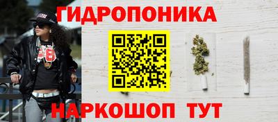 крисы Берёзовский