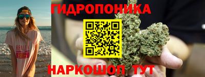 крисы Берёзовский