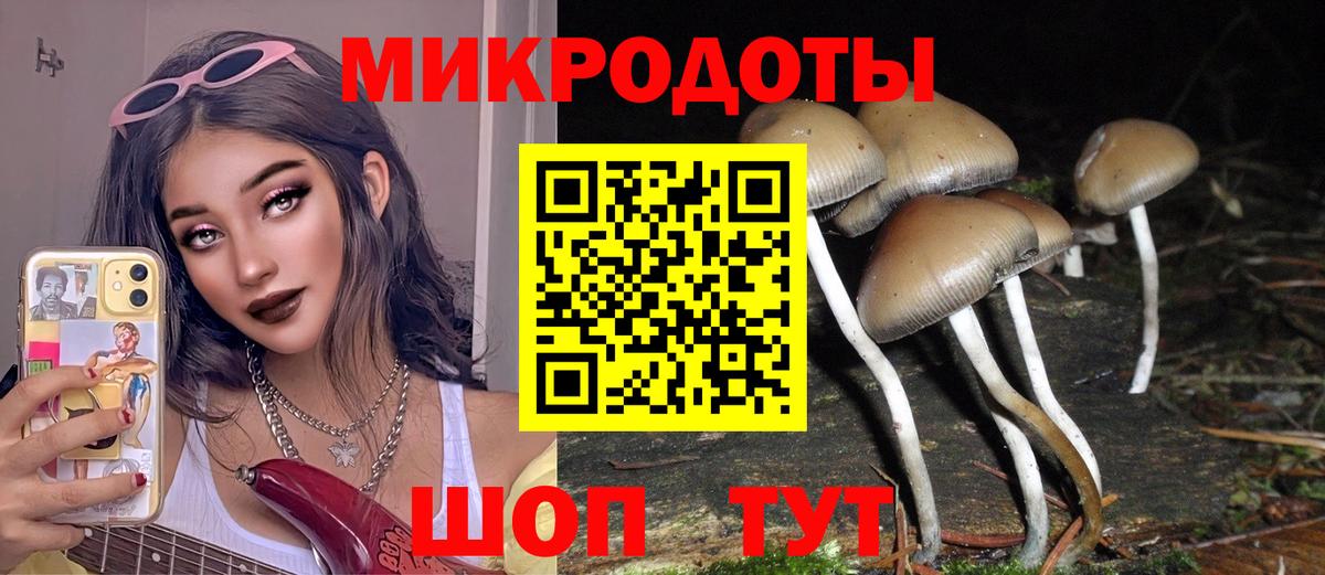 купить закладку  Галлюциногенные грибы прущие грибы  Вход с VPN  Кинель 