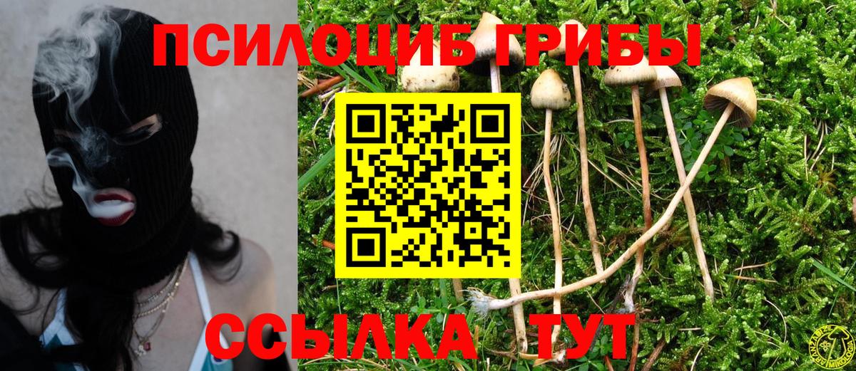 Галлюциногенные грибы GOLDEN TEACHER Кинель